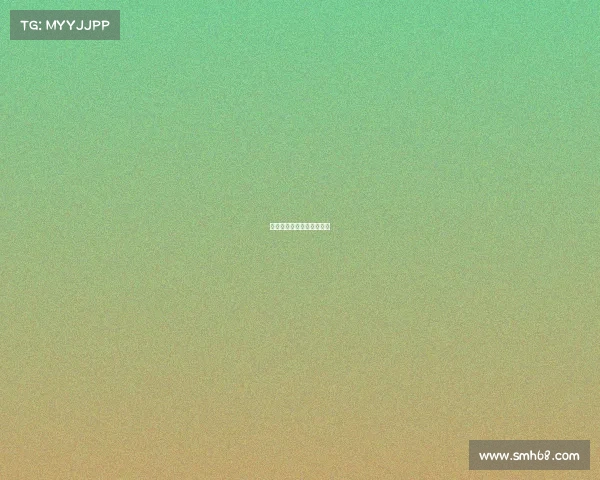 浣熊电子竞技、浣熊窝电玩